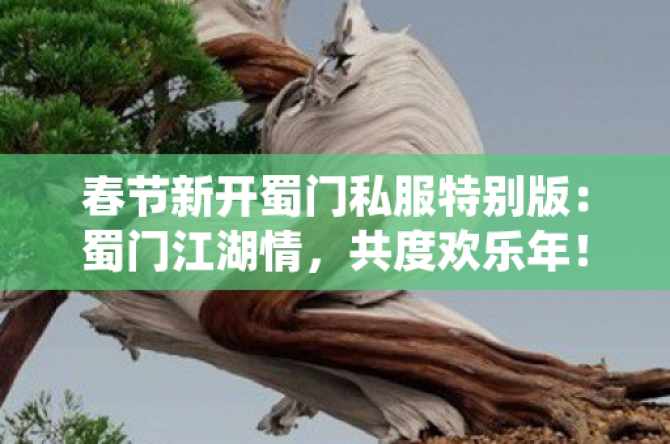 ¿˽ر棺Ž飬